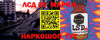 мяу мяу мука Моздок
