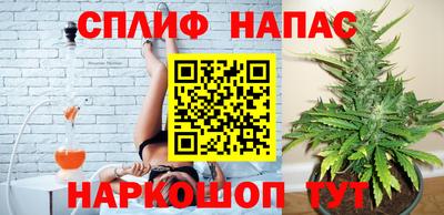 сатива Можайск